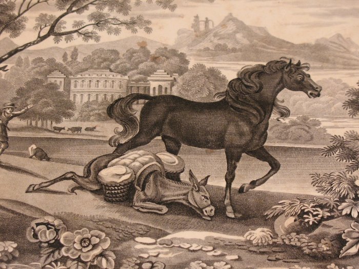 The Fable Of The Horse